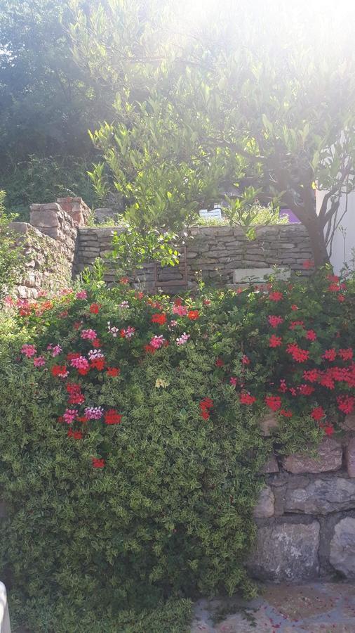 Vila Lucice Petrovac Zewnętrze zdjęcie